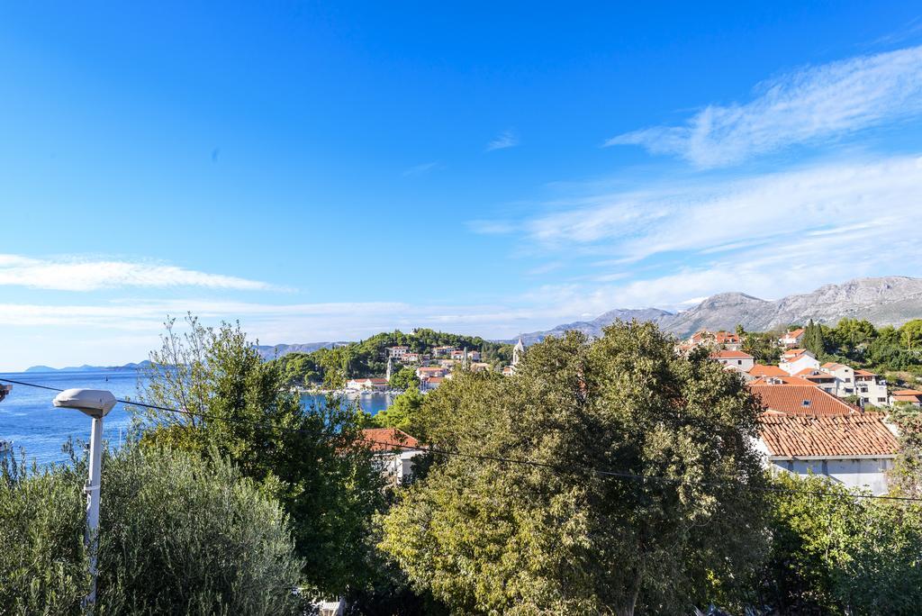 Apartments Niko Цавтат Экстерьер фото